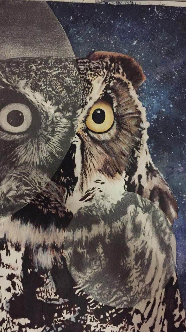 Owl collage, mixed media